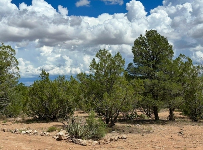 Beautiful Northern AZ off grid Dream getaway - image 18