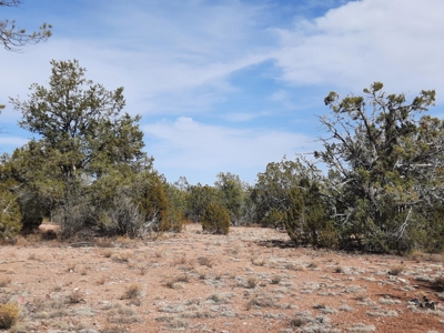 Beautiful Northern AZ off grid Dream getaway - image 21