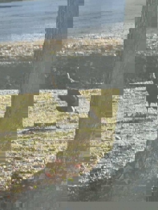 Cozy Gainesville Home Near Lakes, Rivers & National Forest - image 24