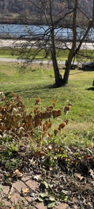 Clarington Lot with Access from Market St. & Apple Alley - image 1