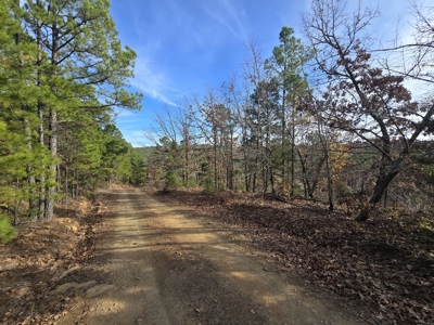 13.6 Acre Off-Grid Property – Creek Frontage - Owner Finance - image 9