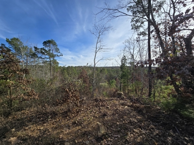 13.6 Acre Off-Grid Property – Creek Frontage - Owner Finance - image 10