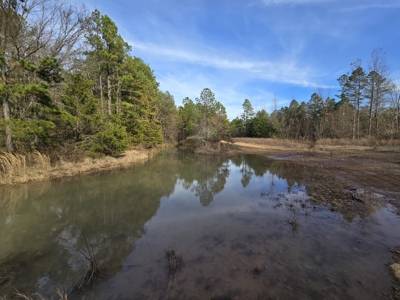 13.6 Acre Off-Grid Property – Creek Frontage - Owner Finance - image 3