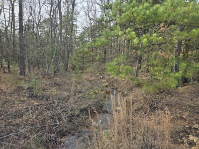 13.6 Acre Off-Grid Property – Creek Frontage - Owner Finance - image 11