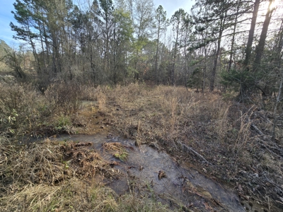 13.6 Acre Off-Grid Property – Creek Frontage - Owner Finance - image 4