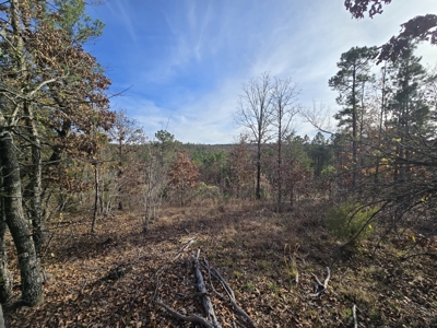 13.6 Acre Off-Grid Property – Creek Frontage - Owner Finance - image 8