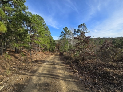 13.6 Acre Off-Grid Property – Creek Frontage - Owner Finance - image 6