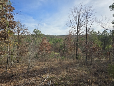 13.6 Acre Off-Grid Property – Creek Frontage - Owner Finance - image 7