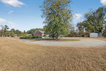 Welcome to Midway Tract, a rare 157± ac estate located in Bamberg - image 46