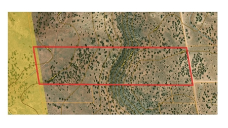 Off-grid Land, Borders BLM with views for sale near Snowflake AZ - image 11