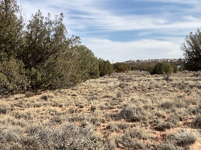 Off-grid Land, Borders BLM with views for sale near Snowflake AZ - image 8