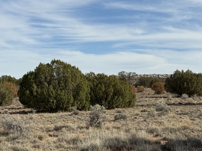 Off-grid Land, Borders BLM with views for sale near Snowflake AZ - image 5