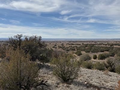 Off-grid Land, Borders BLM with views for sale near Snowflake AZ - image 4