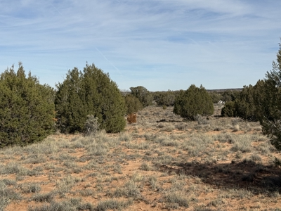 Off-grid Land, Borders BLM with views for sale near Snowflake AZ - image 2