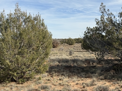 Off-grid Land, Borders BLM with views for sale near Snowflake AZ - image 3
