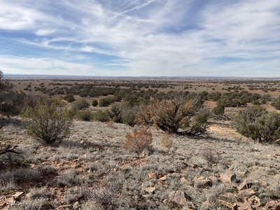 Off-grid Land, Borders BLM with views for sale near Snowflake AZ - image 7