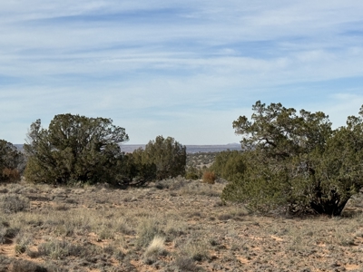 Off-grid Land, Borders BLM with views for sale near Snowflake AZ - image 9