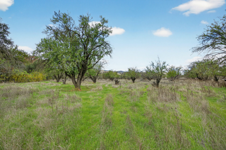 The Eckhardt Homestead in Capay Valley 60.21 acres of Opportunity - image 34