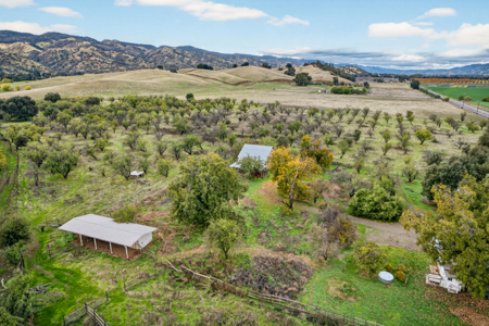 The Eckhardt Homestead in Capay Valley 60.21 acres of Opportunity - image 38