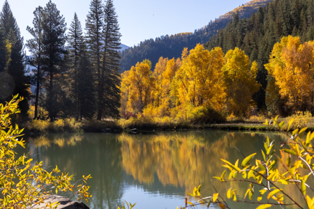 Kebler Corner - Mountain Guest Ranch, RV Park, Luxury Home - image 31