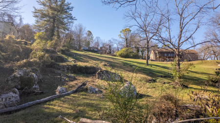 Riverfront Lot for sale in Town | Arkansas Ozarks - image 13