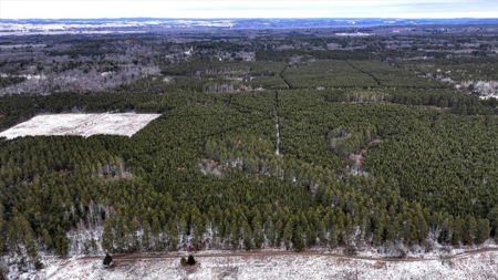 1565 Hwy 71 – Sparta, Wisconsin | 286± Acres | Monroe County - image 36