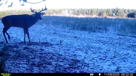1565 Hwy 71 – Sparta, Wisconsin | 286± Acres | Monroe County - image 50