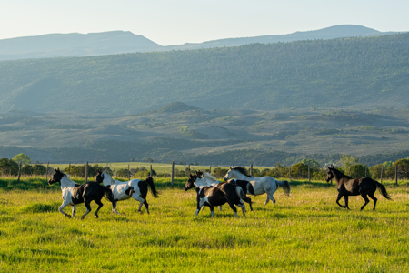 The Gates Ranch - Colorado Mountain Legacy Ranch - image 41