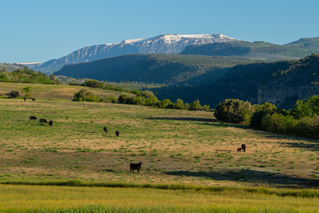 The Gates Ranch - Colorado Mountain Legacy Ranch - image 42