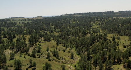 S Bar Ranch – 19,816± Acres North of Custer, Yellowstone County - image 3