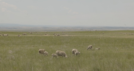 S Bar Ranch – 19,816± Acres North of Custer, Yellowstone County - image 43