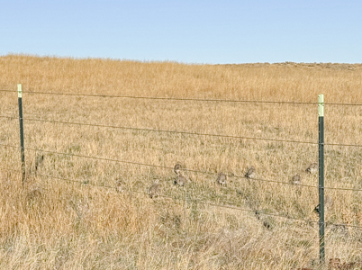 S Bar Ranch – 19,816± Acres North of Custer, Yellowstone County - image 30