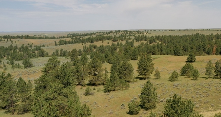 S Bar Ranch – 19,816± Acres North of Custer, Yellowstone County - image 9
