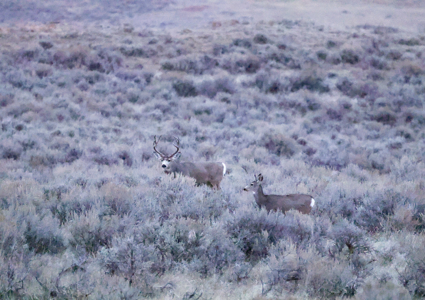 S Bar Ranch – 19,816± Acres North of Custer, Yellowstone County - image 47