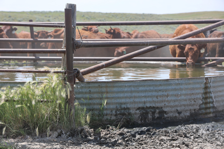 S Bar Ranch – 19,816± Acres North of Custer, Yellowstone County - image 8