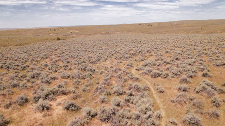 S Bar Ranch – 19,816± Acres North of Custer, Yellowstone County - image 20