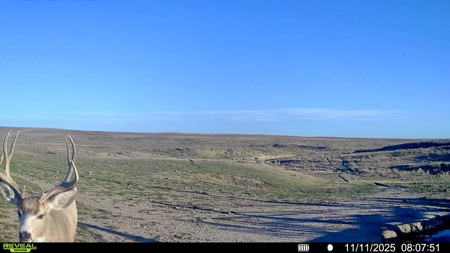 S Bar Ranch – 19,816± Acres North of Custer, Yellowstone County - image 17