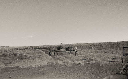 S Bar Ranch – 19,816± Acres North of Custer, Yellowstone County - image 12