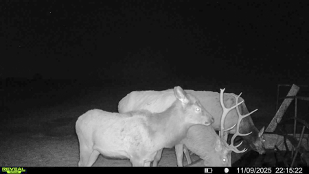 S Bar Ranch – 19,816± Acres North of Custer, Yellowstone County - image 7