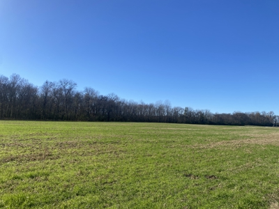 Waterfront Land For Sale In Tn On Tennessee River - image 15