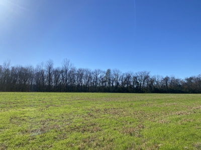 Waterfront Land For Sale In Tn On Tennessee River - image 18