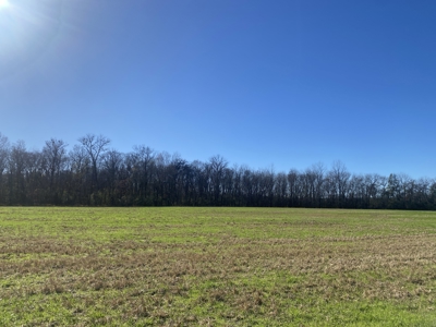 Waterfront Land For Sale In Tn On Tennessee River - image 17