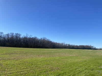 Waterfront Land For Sale In Tn On Tennessee River - image 13