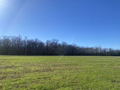 Waterfront Land For Sale In Tn On Tennessee River - image 16
