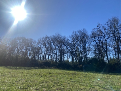 Waterfront Land For Sale In Tn On Tennessee River - image 23