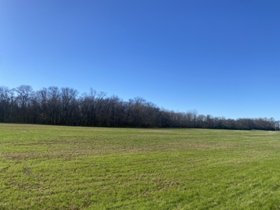 Waterfront Land For Sale In Tn On Tennessee River - image 12