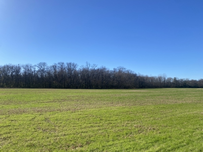 Waterfront Land For Sale In Tn On Tennessee River - image 14