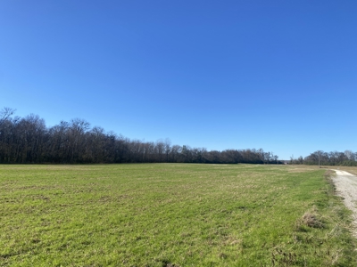 Waterfront Land For Sale In Tn On Tennessee River - image 2