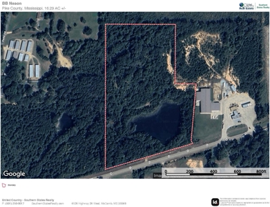 Commercial Acreage For Sale on Hwy 24 W Pike Co MS - image 9