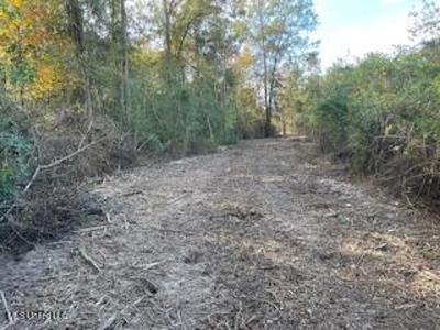 Commercial Acreage For Sale on Hwy 24 W Pike Co MS - image 3